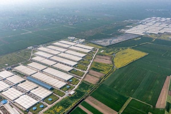 配资炒股网选 70.4万头产能! 又一国企下场养猪, 国资正加速进入养猪业
