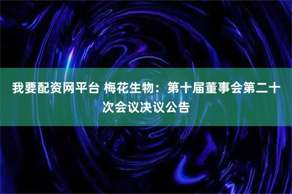 我要配资网平台 梅花生物：第十届董事会第二十次会议决议公告